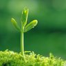 Growth_Investor's profile picture