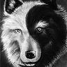 TheLonelyWolf's profile picture