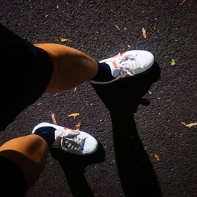 xDinoDeer's profile picture