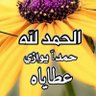 حمد حمدان الحمداني 的头像