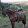 Фото профиля sabotando o incrivel