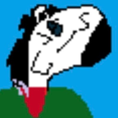 Zebo's profile picture