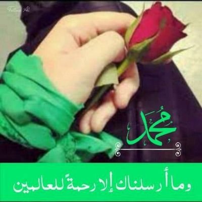 mnarly20164207's profile picture