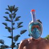 steve's profile picture