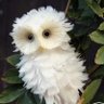 Фото профиля Диво в пір’ях 🦉🇺🇦🇸🇪