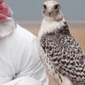 Фото профиля العالمي