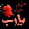 ولنا في السماء لقاء's profile picture