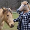HorseGuy's profile picture