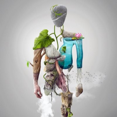 د.فاتن نجار's profile picture