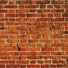 Krzysztof Ociepa profil fotoğrafı