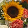 Фото профиля Flowers
