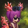 Rin.Crypto's profile picture