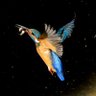 Фото профиля Mass【ます】