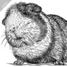 Caviaporcellus 🇪🇸 🇺🇦🦝 profil fotoğrafı