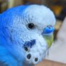 荒木慎吾 profil fotoğrafı
