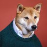 4728udns72's profile picture