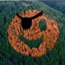 HappisetTree🌲Rickitysplit's profile picture