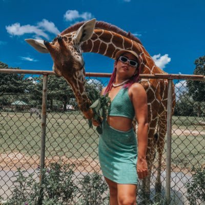 Rein Lustre's profile picture