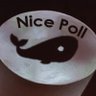 fiddlepower's profile picture