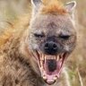 non esiste's profile picture