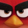 Caique Lima profil fotoğrafı