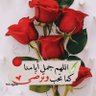 Hoda Mahmoud 的头像