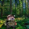Free Freiburg Fella profil fotoğrafı
