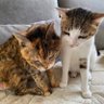mamimoe1's profile picture