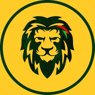AllezLesLions's profile picture