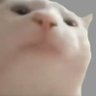å®çŽéè®'s profile picture