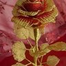 فلوشه profil fotoğrafı