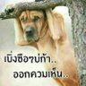 Фото профиля เสาวนิจ เกษประไพ