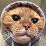 א 1062 ۞'s profile picture