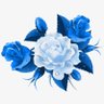 AprRose's profile picture