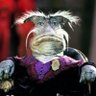 Profilbild von Harry Harry