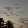 عبدالله's profile picture