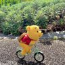 Фото профиля こやなぎ　まゆみ