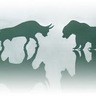 Traderbcn profil fotoğrafı