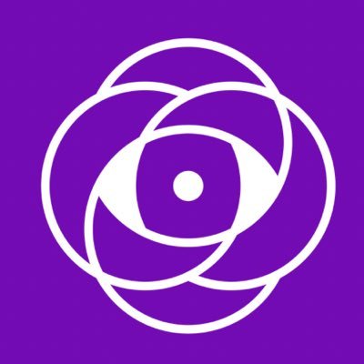 visionariasec's profile picture