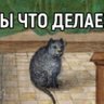 Фото профиля Irina