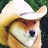 Profilbild von Attahn
