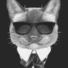 Profilbild von Robert Vera