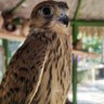 Profilbild von Prospect2Sky