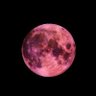 Carlo La Ferlita 的头像