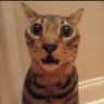s profil fotoğrafı