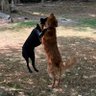 bobby d profil fotoğrafı