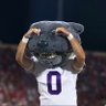 fort worth nick's profile picture