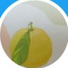 みな profil fotoğrafı