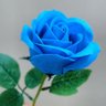 み。 profil fotoğrafı