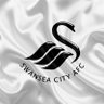 Shropshire and Midlands Jacks🦢's profile picture